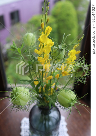 Decorate the bay window with Nigella fruit Decorate the bay window with Nigella fruit 91144027