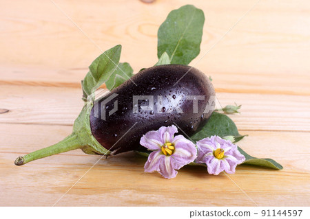 Eggplants on table Eggplants on table 91144597