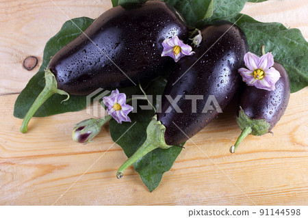 Eggplants on table 91144598