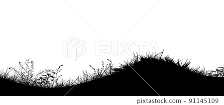 Grass black silhouettes. Vector illustration Grass black silhouettes. Vector illustration 91145109
