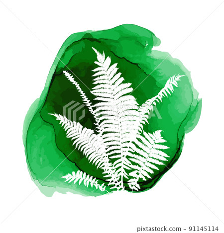 Imprint of a green fern leaves of a tree. Abstraction protection of nature. Vector illustration Imprint of a green fern leaves of a tree. Abstraction protection of nature. Vector illustration 91145114
