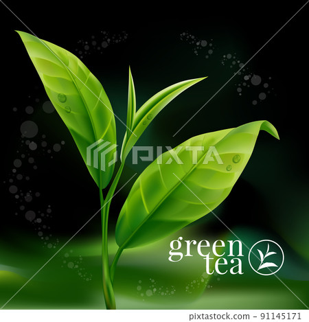 Realistic green tea leaves background for advertising poster. Vector illustration 91145171