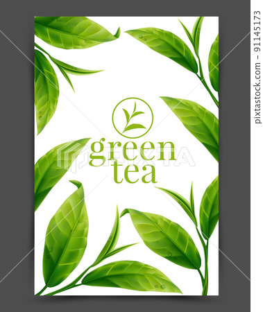 Realistic green tea leaves background for advertising poster. Vector illustration 91145173