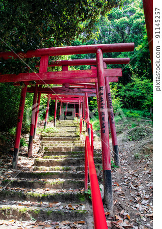 It is the scenery of the approach to the shrine where the red torii gates of Kinko Inari Shrine, the precincts of Hiroshima Toshogu Shrine, are lined up. How about a talisman photo? Hiroshima 91145257