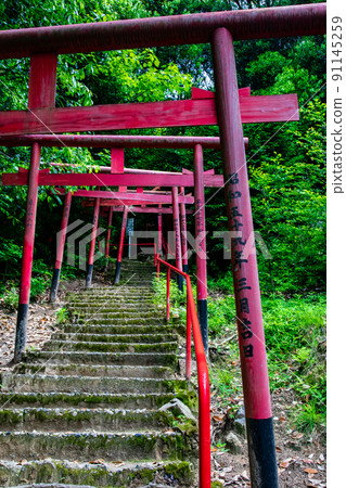 It is the scenery of the approach to the shrine where the red torii gates of Kinko Inari Shrine, the precincts of Hiroshima Toshogu Shrine, are lined up. How about a talisman photo? Hiroshima It is the scenery of the approach to the shrine where the red torii gates of Kinko Inari Shrine, the precincts of Hiroshima Toshogu Shrine, are lined up. How about a talisman photo? Hiroshima 91145259