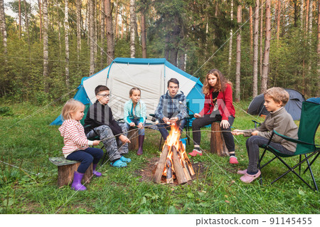 Children roasting marshmallows on camp fire during summer holidays Children roasting marshmallows on camp fire during summer holidays 91145455