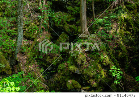 噴泉山和球形石灰岩白根溫泉 91146472