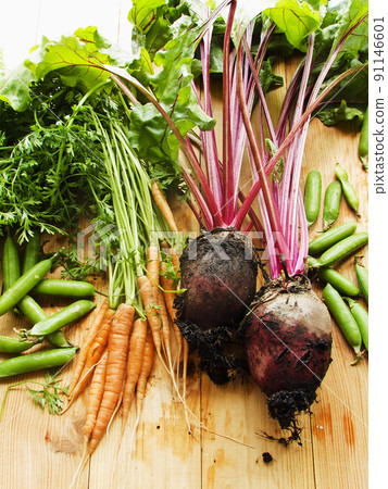 Veggies on wood 91146601