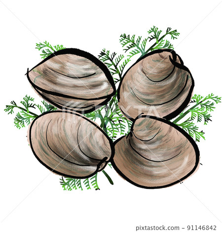 Handwritten illustration of "Honbinos shellfish (large asari)" (brush-wash painting style) 91146842