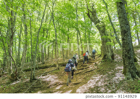 People hiking on the fresh green mountain trails 91148929