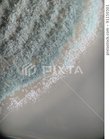 Spores falling on the outside 91150301