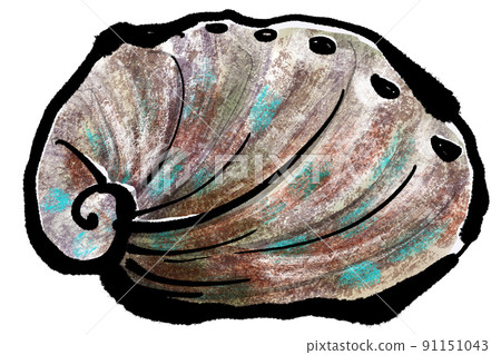 Hand-written tuskfish of "Abalone (Abalone)" Hand strike of "Abalone (Abalone)" (Brush-wash painting style) Hand-written tuskfish of "Abalone (Abalone)" Hand strike of "Abalone (Abalone)" (Brush-wash painting style) 91151043