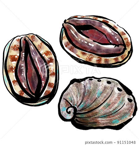Hand-written tuskfish of "Abalone (Abalone)" Hand strike of "Abalone (Abalone)" (Brush-wash painting style) Hand-written tuskfish of "Abalone (Abalone)" Hand strike of "Abalone (Abalone)" (Brush-wash painting style) 91151048