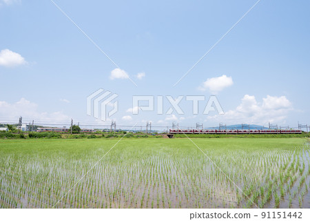 【近鐵名古屋線】穿越鄉間的電車 91151442