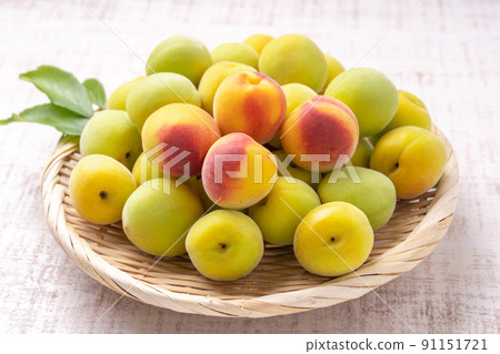 Minami Takane Minami Takane 91151721