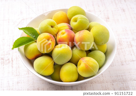 Minami Takane Minami Takane 91151722