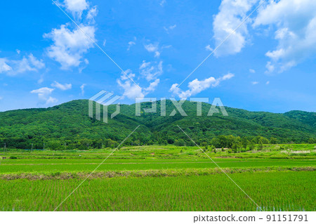 【茨城縣筑波市】寶京山和藍天的自然風光 91151791