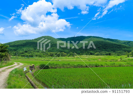 [Tsukuba City, Ibaraki Prefecture] Natural scenery of Mt. Hokyo and the blue sky 91151793
