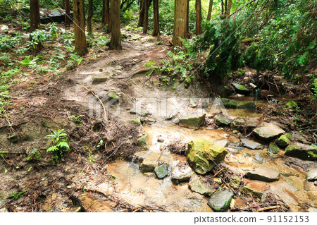 Natural scenery image of trail running course Natural scenery image of trail running course 91152153