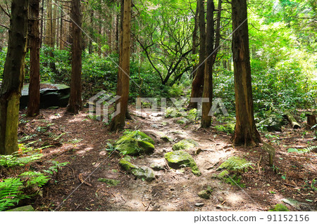 Natural scenery image of trail running course 91152156