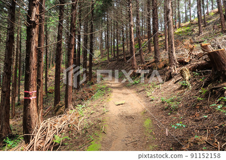 Natural scenery image of trail running course 91152158