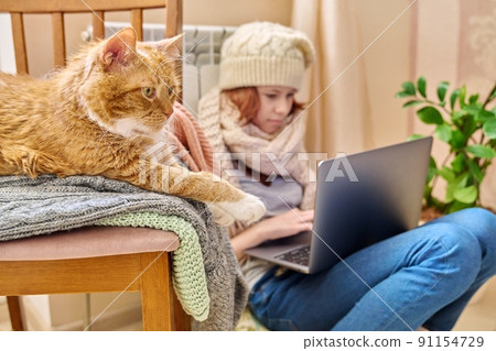 Preteen girl near heating radiator using laptop with ginger cat lying on chair Preteen girl near heating radiator using laptop with ginger cat lying on chair 91154729