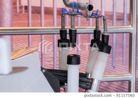 Teat brush system for stimulate, clean, disinfect cow udder at farm Teat brush system for stimulate, clean, disinfect cow udder at farm 91157560