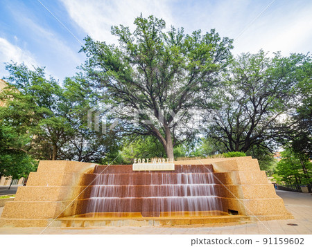 Overcast view of the Water Gardens Overcast view of the Water Gardens 91159602