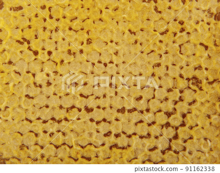 image of natural honeycomb background image of natural honeycomb background 91162338