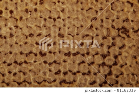 image of natural honeycomb background image of natural honeycomb background 91162339