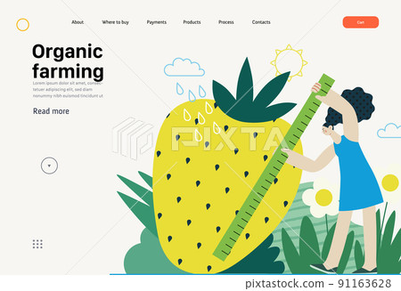 Ecology - Organic farming -Modern flat vector concept illustration of ecology metaphor, woman measuring a giant strawberry. Creative landing web page template 91163628