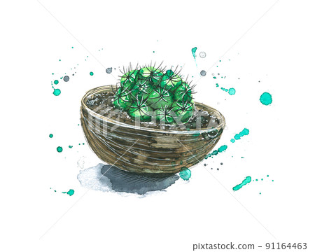 Watercolor illustration with a cactus planted in a coconut shell. Watercolor illustration with a cactus planted in a coconut shell. 91164463