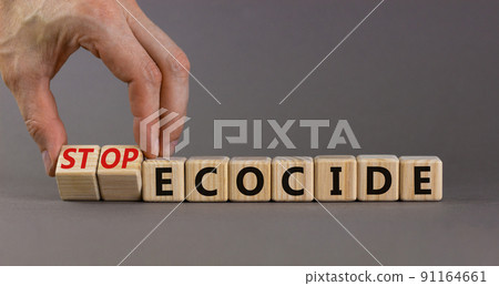 Stop ecocide symbol. Businessman turns wooden cubes and changes words ecocide to stop ecocide. Beautiful grey background, copy space. Business, ecological and stop ecocide concept. 91164661