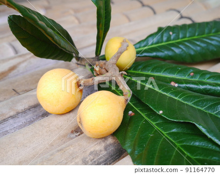 Loquat with leaves Loquat with leaves 91164770