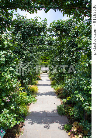 Hill park with a view of the harbor Hill park with a view of the harbor 91165536