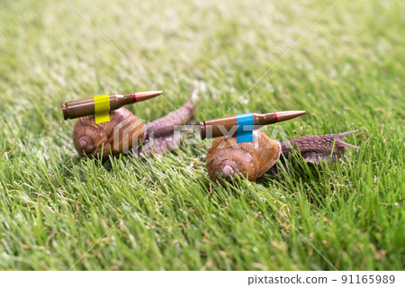 Ukrainian battle snails with lend-lease armor on mission 91165989