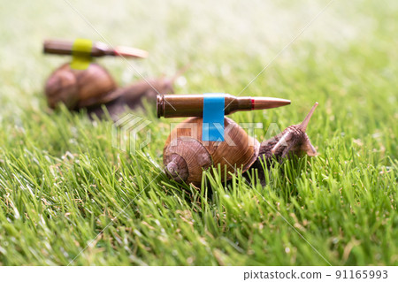 Ukrainian battle snails with lend-lease armor on mission 91165993