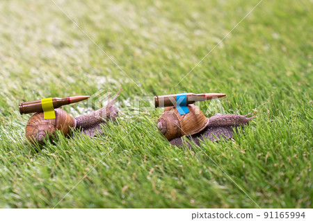 Ukrainian battle snails with lend-lease armor on mission 91165994