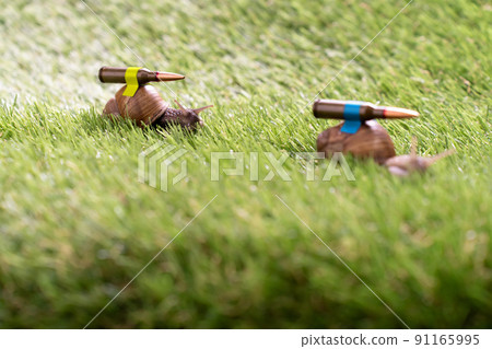 Ukrainian battle snails with lend-lease armor on mission 91165995