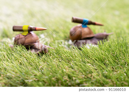 Ukrainian battle snails with lend-lease armor on mission 91166010