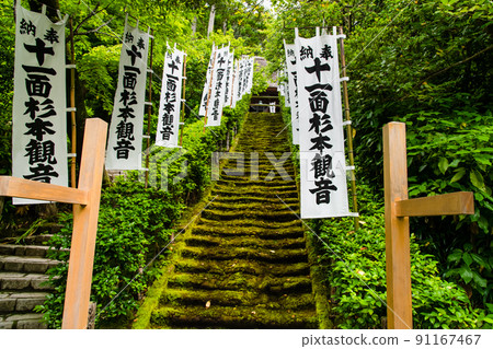 Sugimotodera, Kamakura City, Kanagawa Prefecture ~ Moss stone steps ~ Sugimotodera, Kamakura City, Kanagawa Prefecture ~ Moss stone steps ~ 91167467