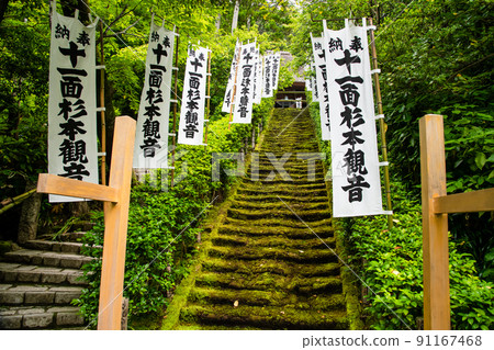 神奈川縣鎌倉市杉本寺～苔蘚石階～ 91167468