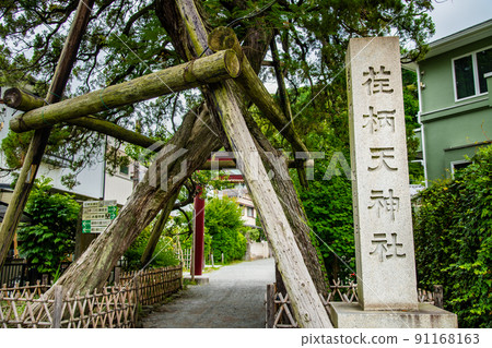 Kamakura City, Kanagawa Prefecture Eitaten Shrine ~ Sando ~ 91168163