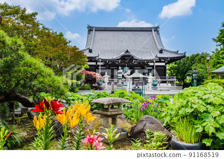 神奈川縣鎌倉市本覺寺-本宮和院內鮮花盛開- 91168519