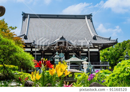 神奈川縣鎌倉市本覺寺-本宮和院內鮮花盛開- 91168520