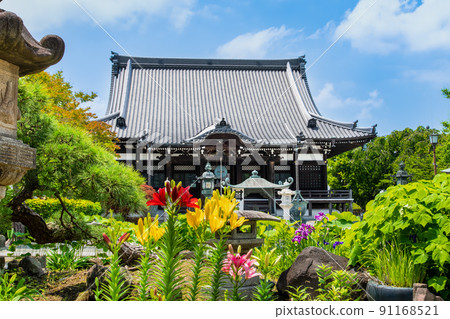神奈川縣鎌倉市本覺寺-本宮和院內鮮花盛開- 91168521