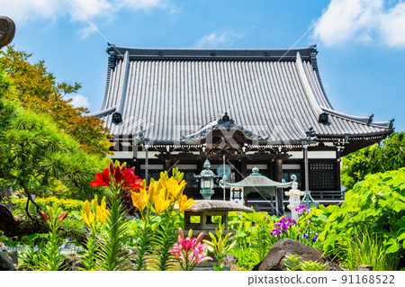 神奈川縣鎌倉市本覺寺-本宮和院內鮮花盛開- 91168522