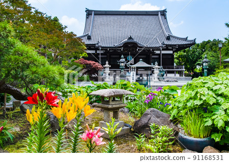 Hongakuji Temple, Kamakura City, Kanagawa Prefecture-Flowers blooming in the main shrine and precincts- Hongakuji Temple, Kamakura City, Kanagawa Prefecture-Flowers blooming in the main shrine and precincts- 91168531