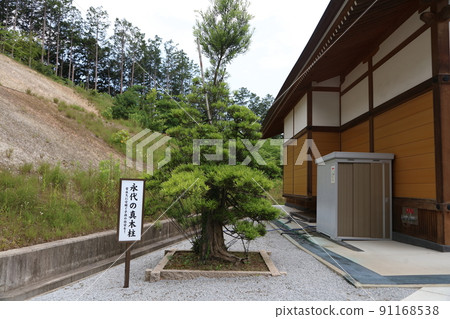 Iimori Shrine Yabusame Meotosugi Iimori Nakamiya Shrine Mikaerimatsu 91168538