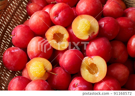 李子裝在濾鍋裡 李子裝在濾鍋裡 91168572